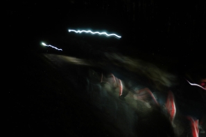 2019_MagieUCD1 064.jpg